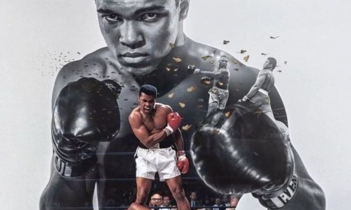 玫瑰菊花桑椹茶的功效与禁忌-玫瑰菊花桑椹茶的功效网—知名的桑葚干与玫瑰花菊花杞子冲水好吗网站,分享玫瑰菊花桑葚茶的功效知识